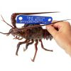 CALOB Lobster Gauge by Offshore Products American Made Non‑Slip Tool-2