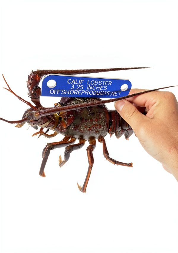 CALOB Lobster Gauge by Offshore Products American Made Non‑Slip Tool-2